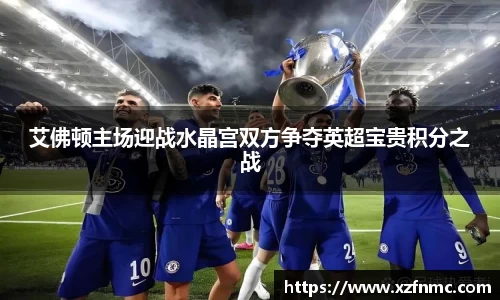 艾佛顿主场迎战水晶宫双方争夺英超宝贵积分之战